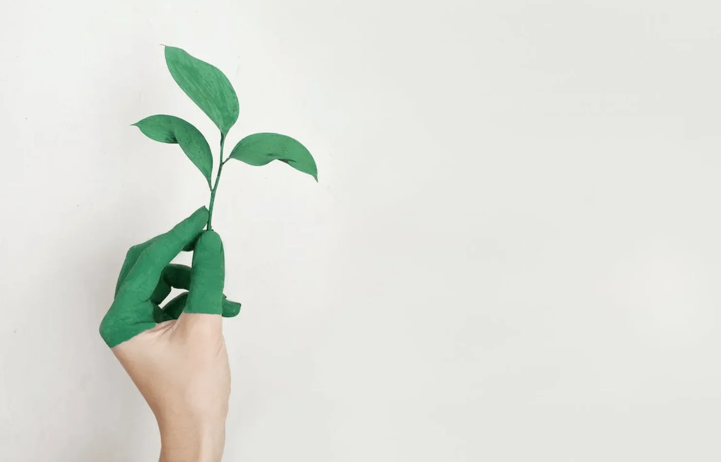 ESG Strategie zur Nachhaltigkeitstransformation